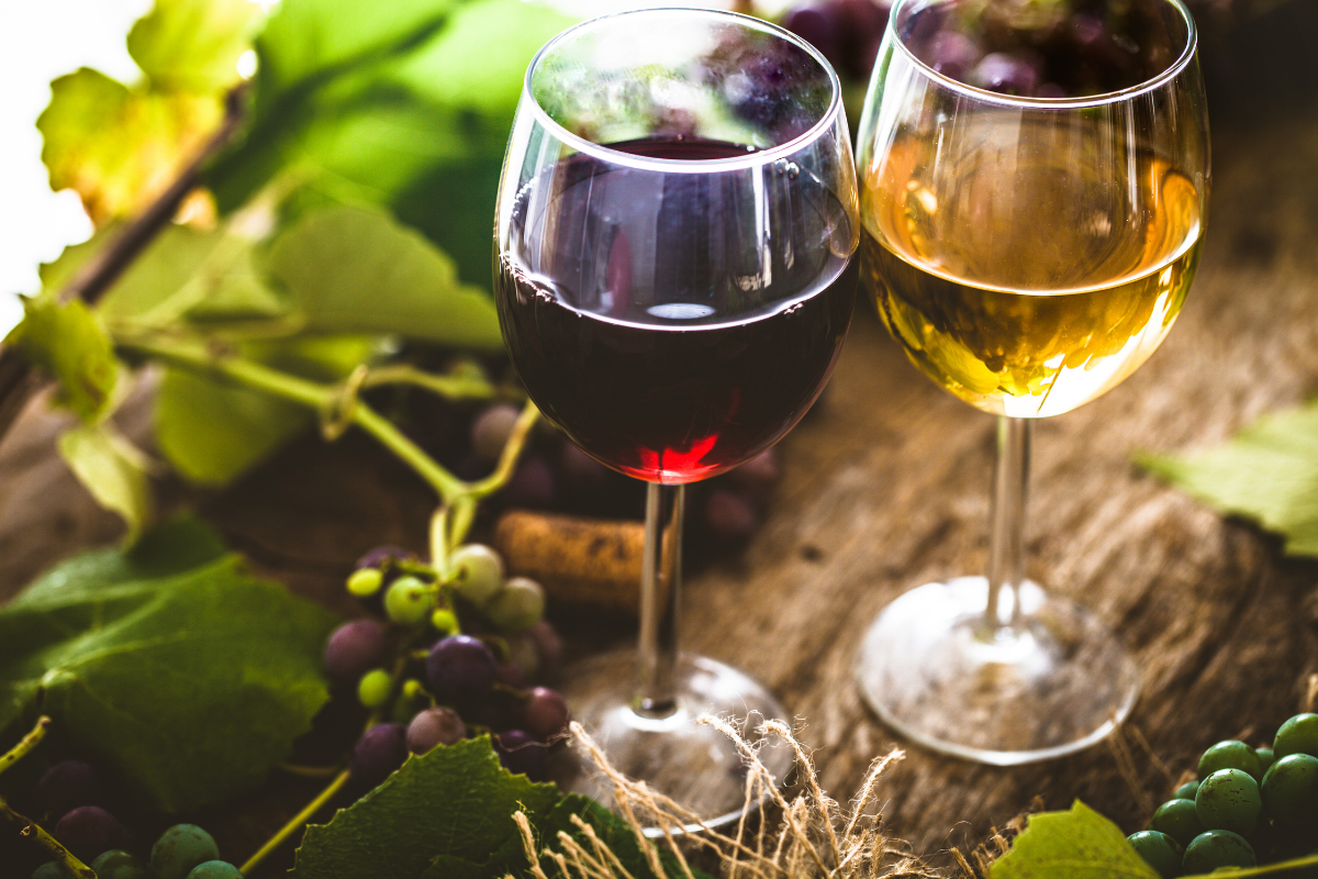 Profitable Tasmanian Wine Distribution Business for sale in Tasmania, A unique opportunity exists to acquire a highly regarded, long-established Tasmanian wine distribution and retail business.