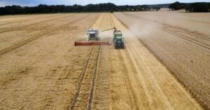 Feature Image for Morgan Business Sales M&A Report on the Australian Agriculture Sector