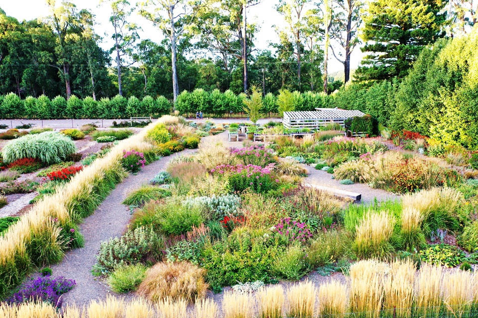 Wholesale & Retail Nursery for sale in victoria