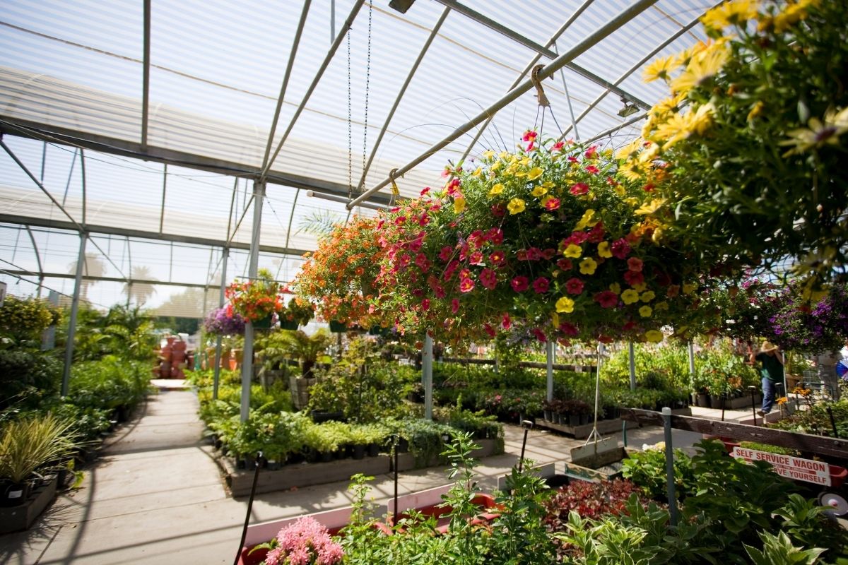 Established Perennials Nursery Opportunity for sale in Victoria