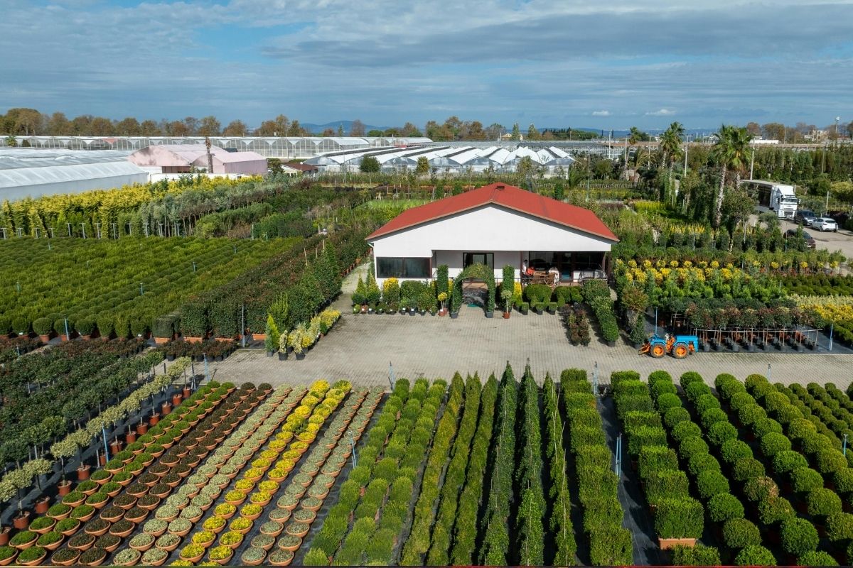 Quality Horticultural Business — VIC