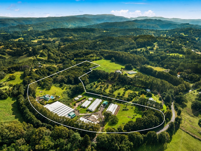 Established Wholesale Nursery with Freehold for sale in Byron Bay Hinterland